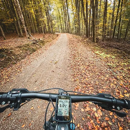 Filip Bed & Breakfast